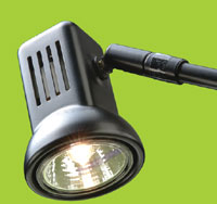 50w hi-spot mains lights